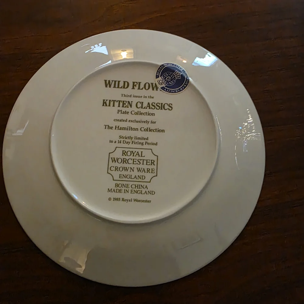 Royal Worcester Cat Design Plate with Gold Rim